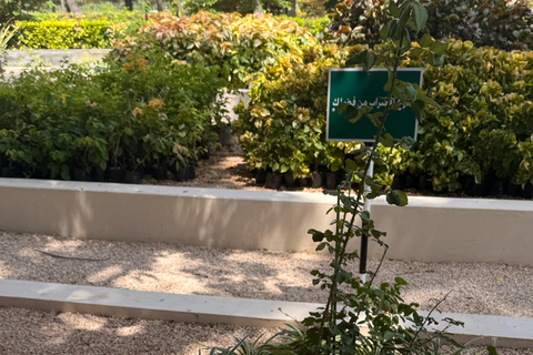 Salalah City Tour: Mosque, Al Gharif Project and Royal Farm