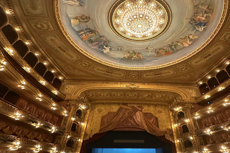 Buenos Aires: Teatro Colón Entry Ticket and Guided Tour Teatro Colón Ticket and Guided Tour in Portuguese