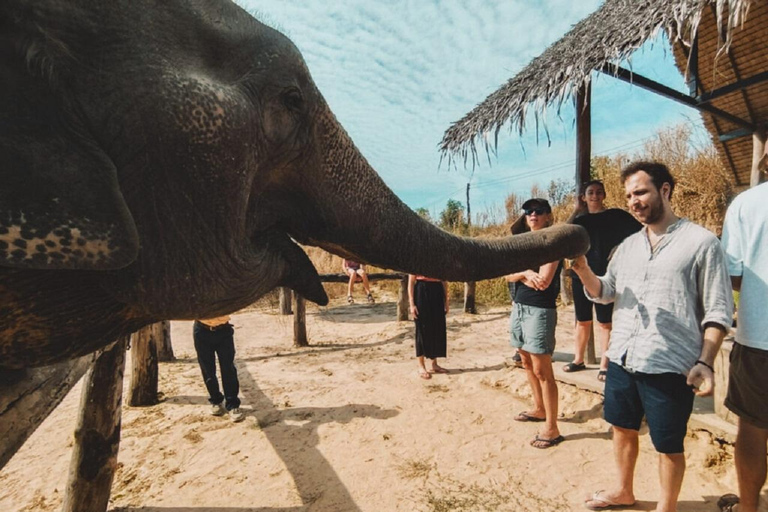 Visite du sanctuaire des éléphants et du temple de Banteay Srey au Cambodge