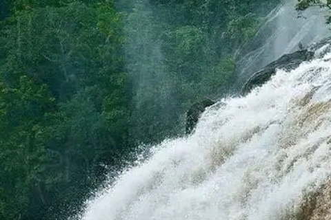 Watervallen van Athirapply of Areekal Tour voor 1 tot 8 personen.Watervallen van Athirappally voor 9 tot 12 personen.