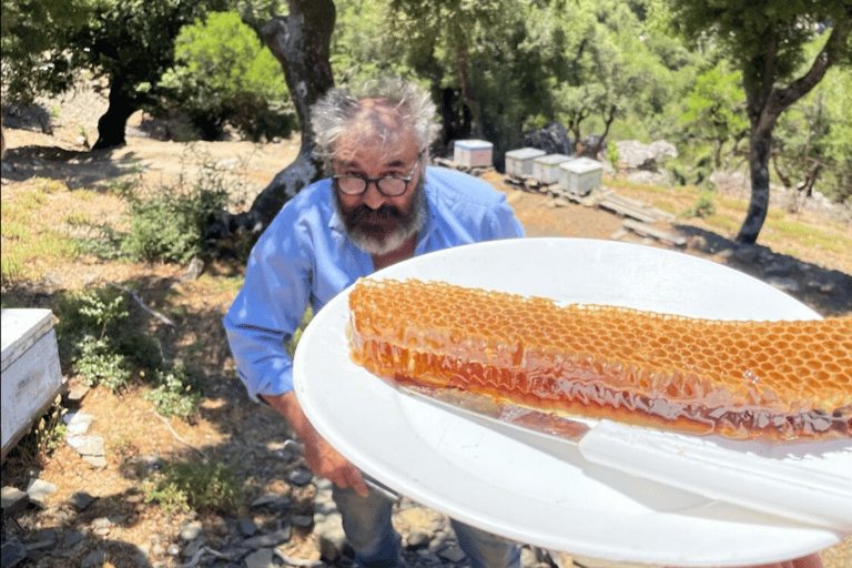 Desde Elounda o Agios Nikolaos: tour privado de caza de trufasTour en limusina o SUV de 3 asientos