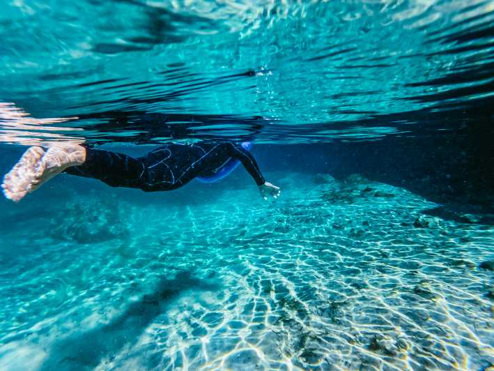 Crystal River Manatee Swim and Snorkel 2023