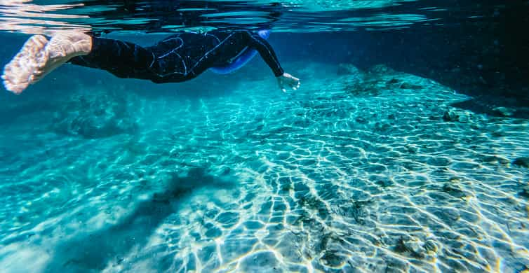 O que fazer e como chegar em Crystal River, o paraíso dos manatees! »  Destinos Imperdíveis