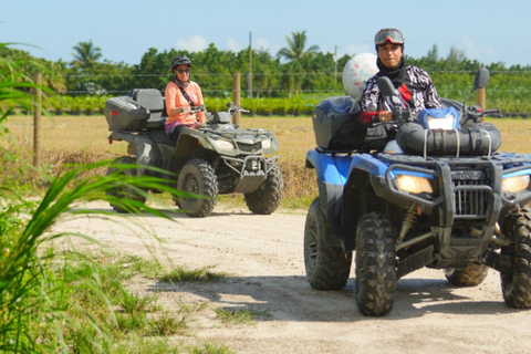 Miami : Excursion en quad