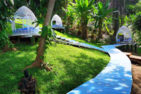 Phuket: Biglietto d'ingresso per l'altalena Rock Beach