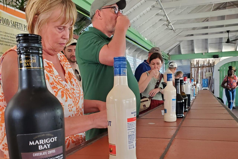 St. Lucia: Soufriere Day Trip with Mud Baths and Waterfall Soufriere, St. Lucia Island Tour with Mud bath