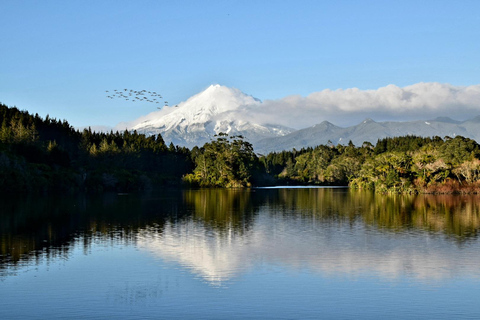 New Zealand: Guided 26-Day North Island Tour with Camping