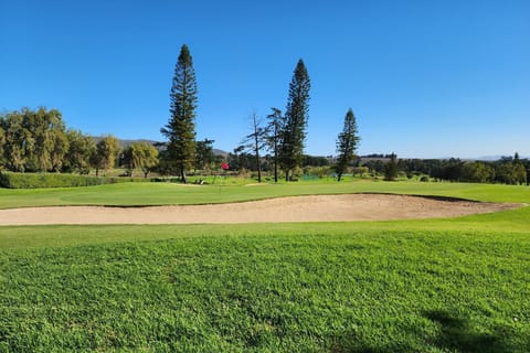 Cape Town: Experience Golf, Wine Tour with VIP Wine Tasting