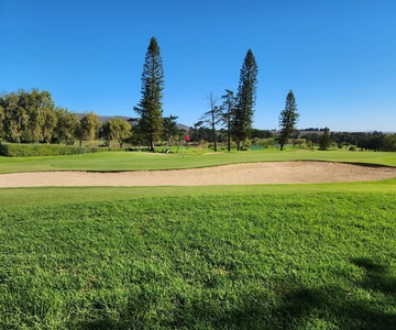 Cape Town: Experience Golf, Wine Tour with VIP Wine Tasting