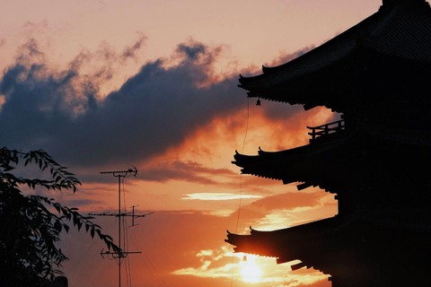 Kyoto: Private Luxury Tour With Vehicle (Customizable)