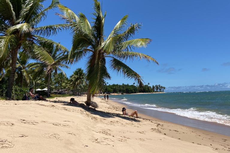De Salvador: excursion d'une journée à Praia do Forte et à la plage de Guarajuba