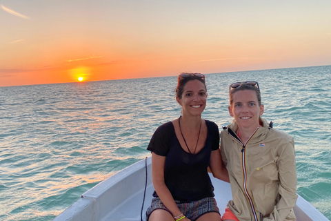 Rio Lagartos et Las Coloradas : EcoSafari Flamingo DeluxRio Lagartos et Las Coloradas : EcoSafari Flamingo Deluxe