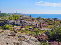 From Stockholm, Archipelago hike to Landsort lighthouse - Housity