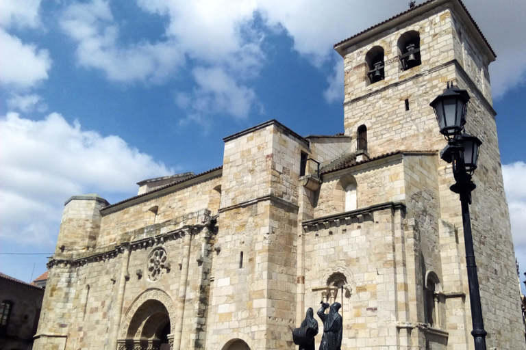 Zamora: Private Guided Tour