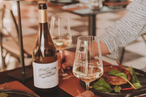 Desde Colonia: Full Day a Carmelo con vinos en El Legado y Pueblo Tannat