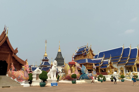 Chiang Mai: Tour Sticky Waterfall, Wat Ban Den & Dan Tewada