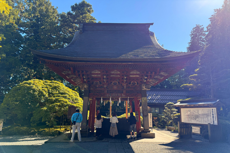 Tokyo: Mt Fuji A Journey Through Nature, History & Culture Tokyo: Mt Fuji A Journey Through Nature, History, & Culture