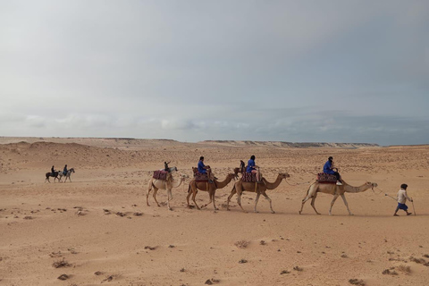 Dakhla: Camel Ride Dakhla camel ride Sunset 1h30