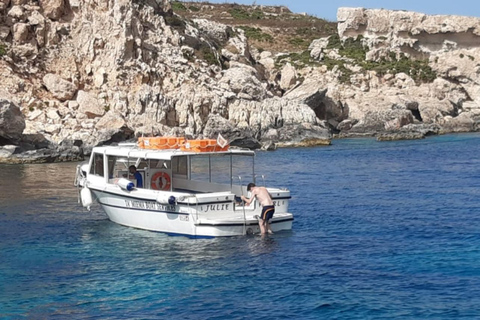 Comino: Excursiones privadas en barco, paradas para nadar y visitas a cuevas