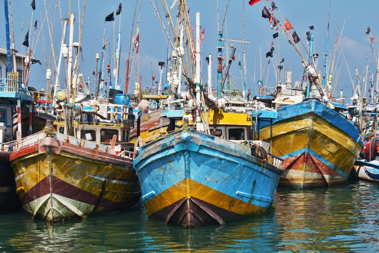 Negombo: Private City Tour with Ayurvedic Massage & Lunch