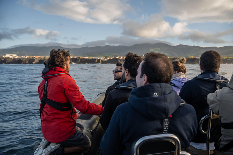 圣米格尔岛：火山奇观、洞穴与历史游船之旅