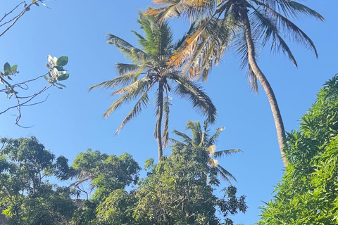 Santiago: Cidade Velha Beginner Hike with Lunch