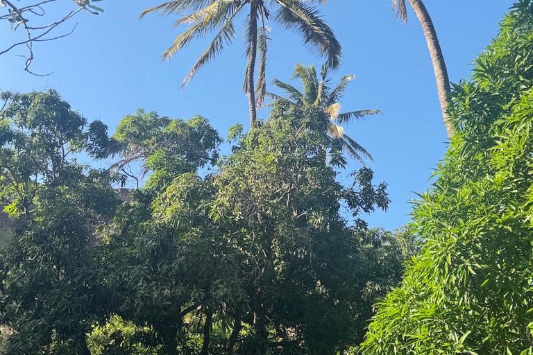 Santiago: Cidade Velha Beginner Hike with Lunch