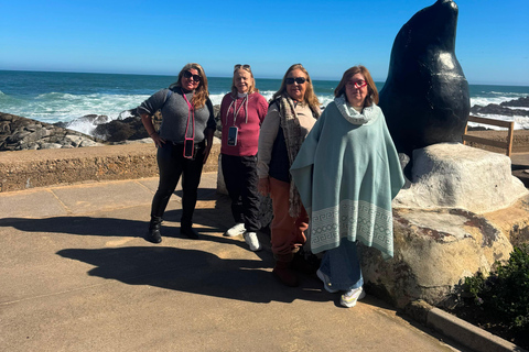 Viña del Mar and Valparaiso: Private Tour