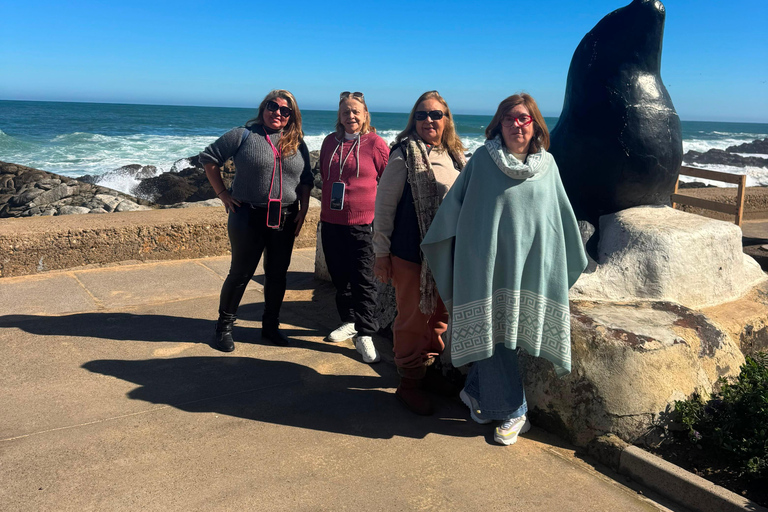 Viña del Mar and Valparaiso: Private Tour