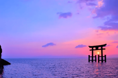 Depuis Osaka : Musée Miho, lac Biwa et sanctuaire de l'oiseau d'eau