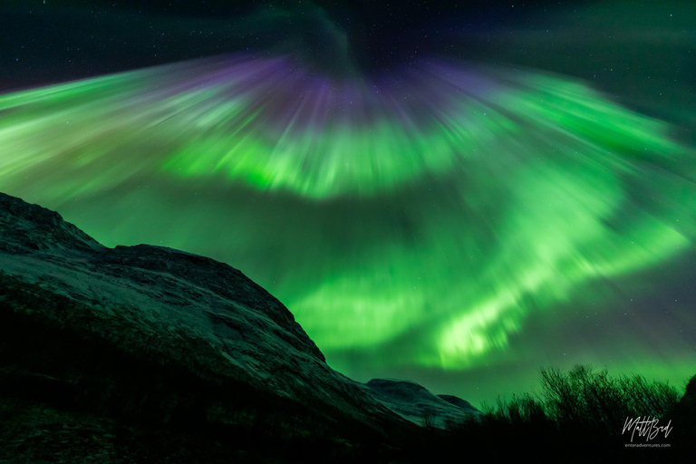 Tromsø: Northern Lights Bus Tour with Snacks and Hot Drink