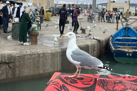 From Marrakech: Essaouira Day Trip with Beach & Medina Essaouira Small Group Day Trip