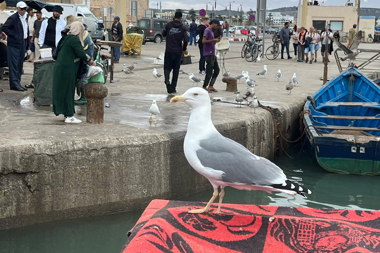From Marrakech: Essaouira Day Trip with Beach & Medina Essaouira Small Group Day Trip