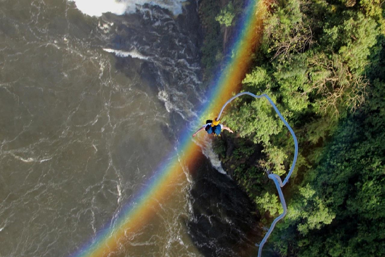 Victoria Falls: Bungee Jump with Bridge Tour Option