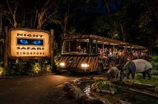 Singapur: Nacht-Safari mit Straßenbahn-Fahrt und Hoteltransfer
