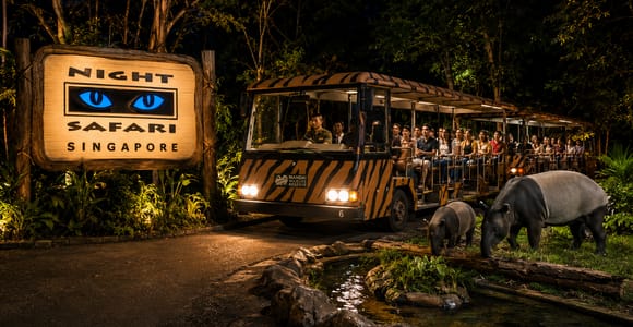 Singapore: Night Safari with Tram Ride and Hotel Transfers