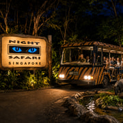 Singapore: Night Safari with Tram Ride and Hotel Transfers