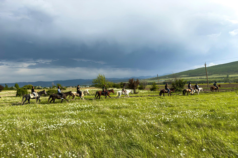 Tbilisi: Horse Riding Tour at Palomino Ranch
