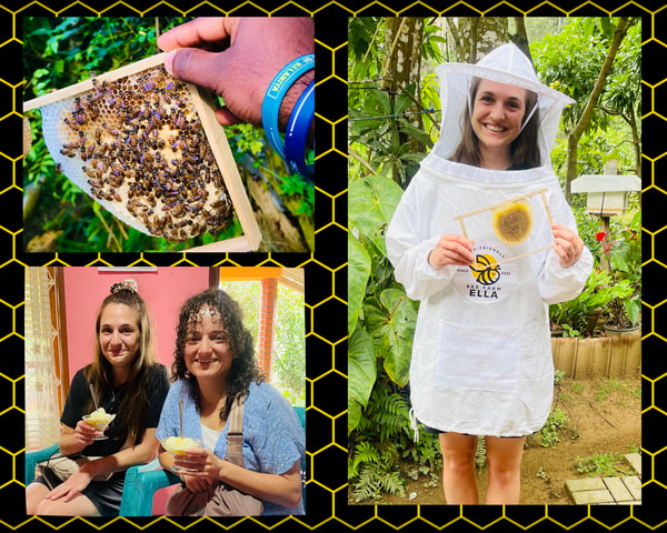 Ella: Bee Farm Tour With Honey Tasting Experience