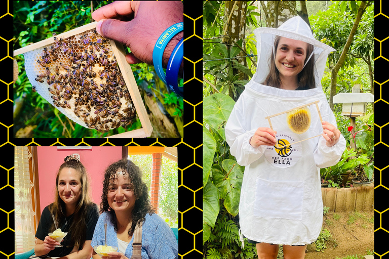 Ella: Bee Farm Tour With Honey Tasting Experience