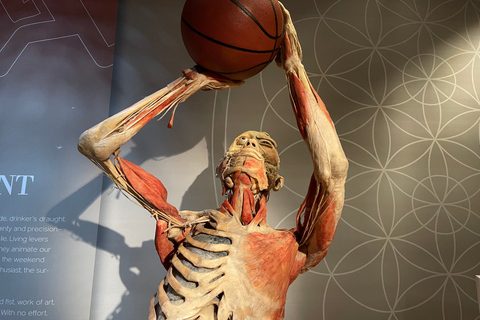 Las Vegas: REAL BODIES at Horseshoe Las Vegas Entry Ticket REAL BODIES Entry Ticket - Peak 7$ OFF