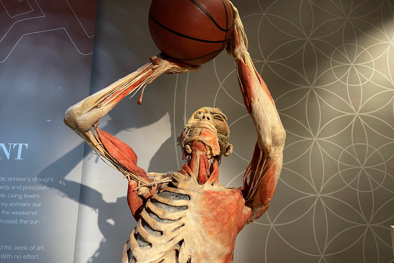 Las Vegas: REAL BODIES at Horseshoe Las Vegas Entry Ticket REAL BODIES Entry Ticket - Peak 7$ OFF