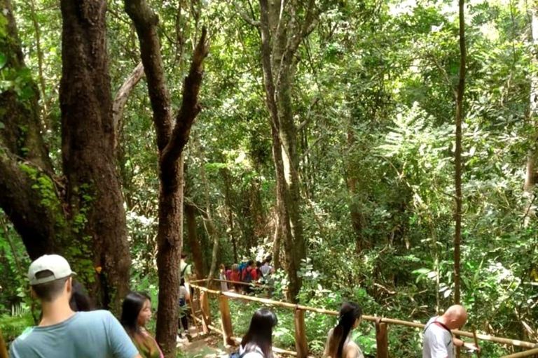 Chiang Mai : Parc national de Doi Inthanon et sanctuaire des éléphants