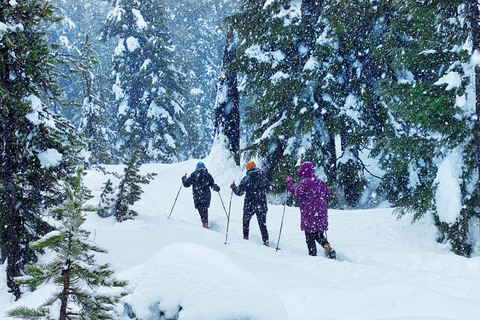 Portland: Mt. Hood Snowshoe Adventure with Lunch