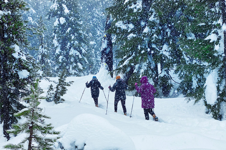 Portland: Mt. Hood Snowshoe Adventure with Lunch