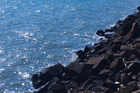 Panama Canal & City Tour