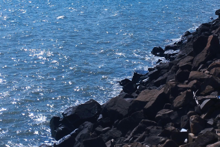 Panama Canal & City Tour