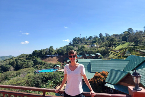 Chiang Rai: Mountains Discovery Doi Mae Salong & Doi Tung Mountains Discovery:Doi Mae Salong & Doi Tung (Private Tour)