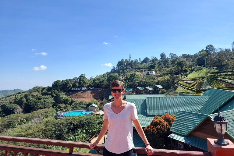 Chiang Rai: Mountains Discovery Doi Mae Salong & Doi Tung Mountains Discovery:Doi Mae Salong & Doi Tung (Private Tour)