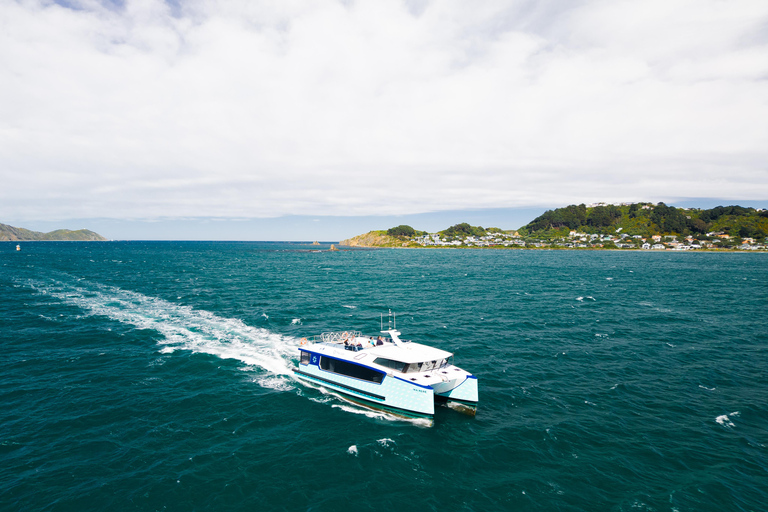 Wellington: The Great Harbour of Tara Electric Ferry Tour
